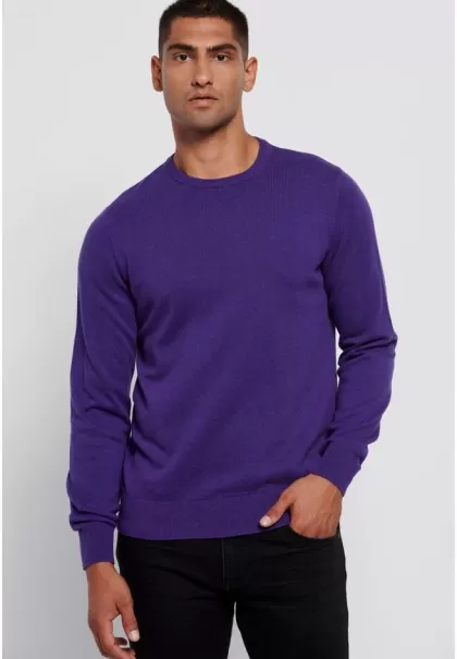 Essential Crew Neck Sweater Cashback Funky-Buddha Knitwear & Cardigans Men's Purple Mel